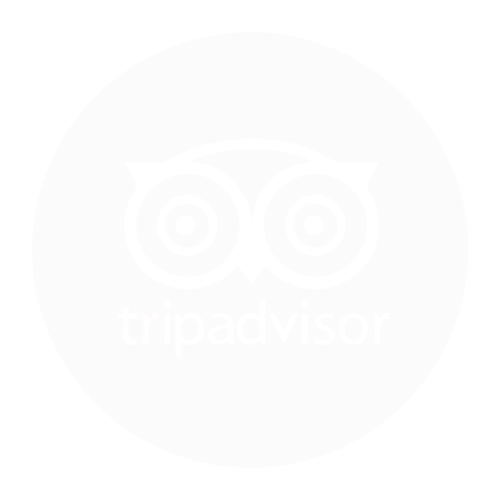 Logo TripAdvisor avis voyage vert rouge