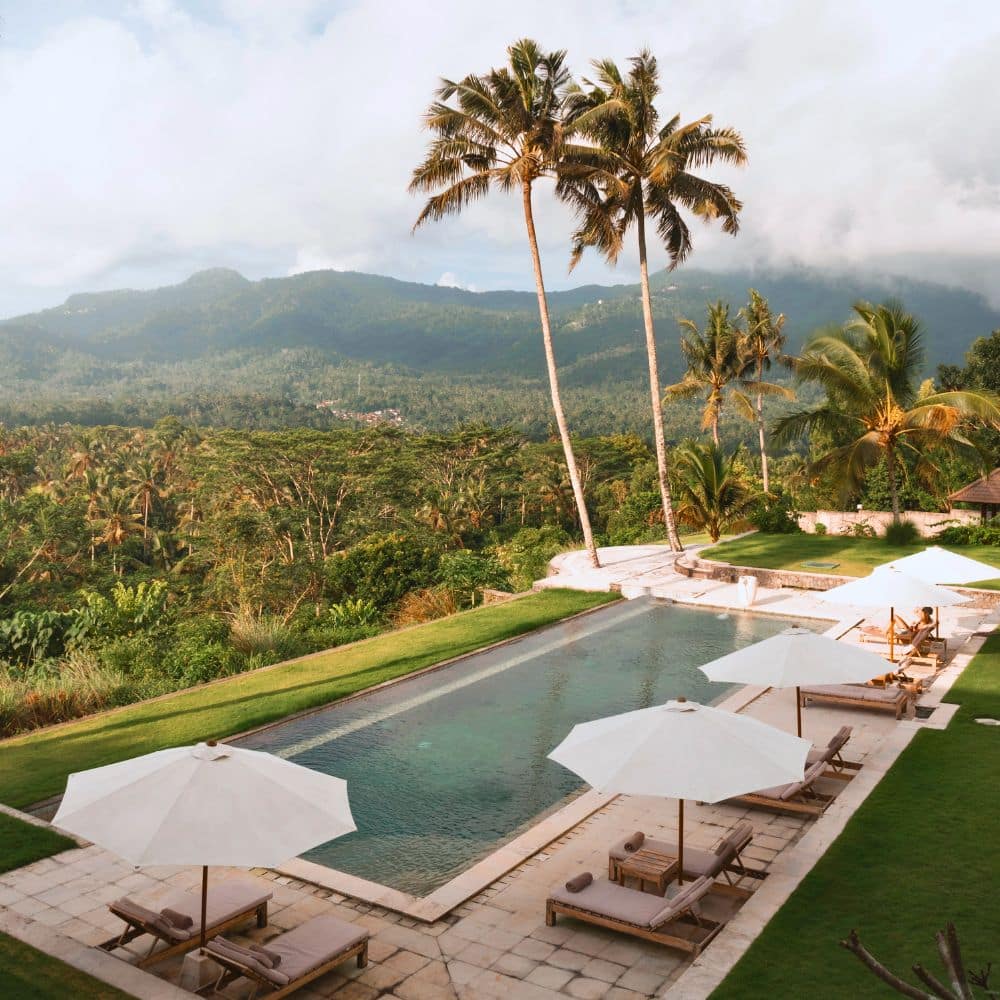 Palmiers tropicaux plage sable fin